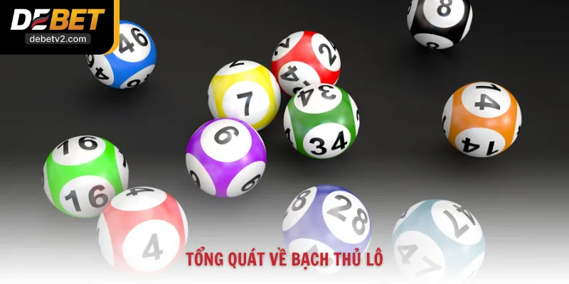 Tổng quát về bạch thủ lô